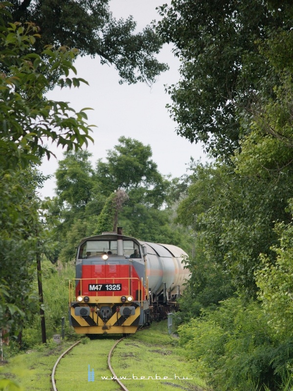 The M47 1325 is pulling a freight train between Tiszaalpár felső and Tiszaalpár photo