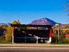 A bus stop painted interestingly to the ŽSSK company colours at Handlov