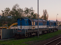 kép