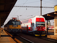 kép