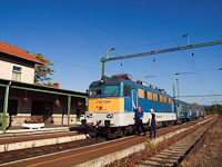 kép
