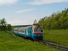 The UZ D1 607-1 seen between Tsenzhiv and Maidan