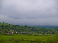 kép