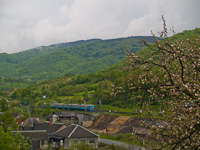 kép