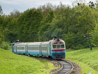 kép
