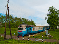 kép