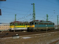 kép