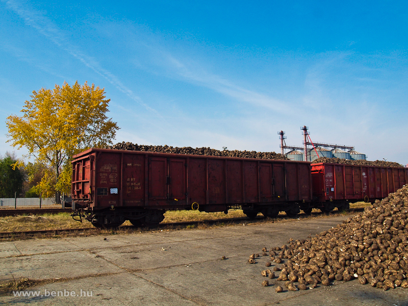 Sugar beet train at Jszapti photo