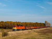 The M62 108 hauling a freight train full with sugar beet between Jászapáti and Jászdózsa