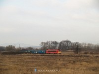 kép