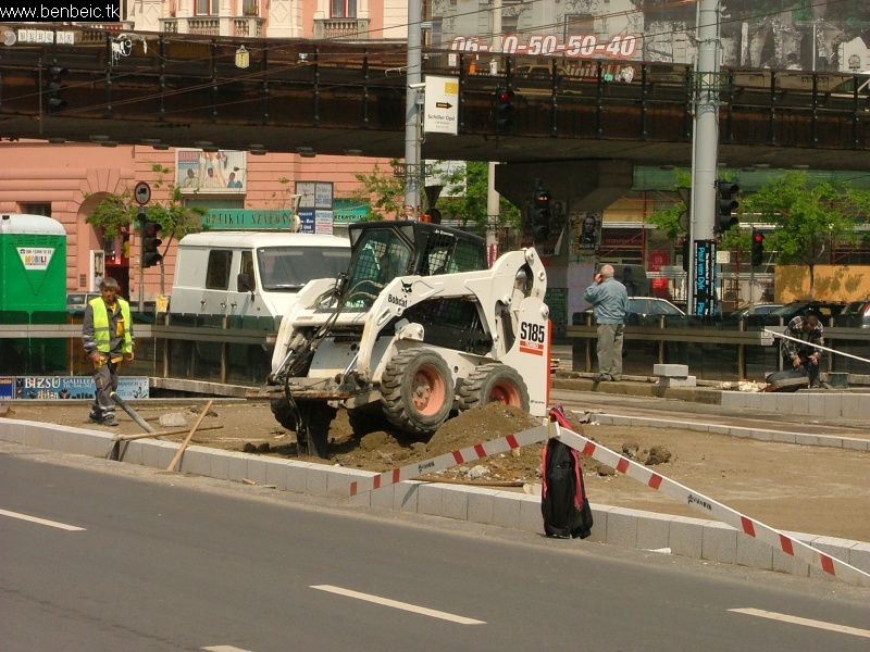 Bobcat fot