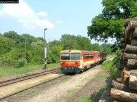 kép