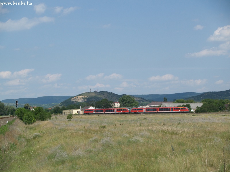 Desirók az Esztergom-Kertváros előtti deltában fotó