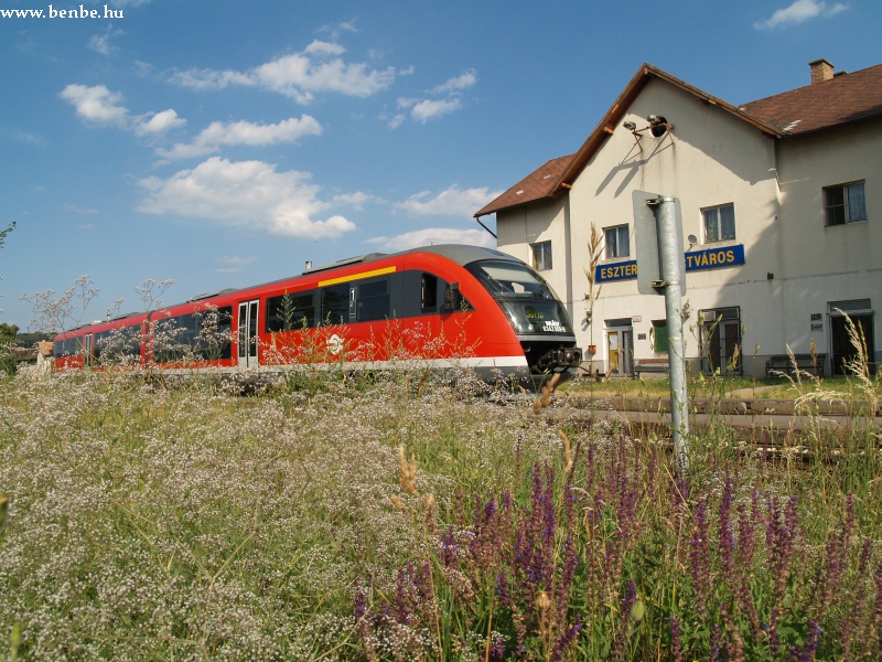 6342 009-5 Esztergom-Kertvrosban vadvirgokkal fot