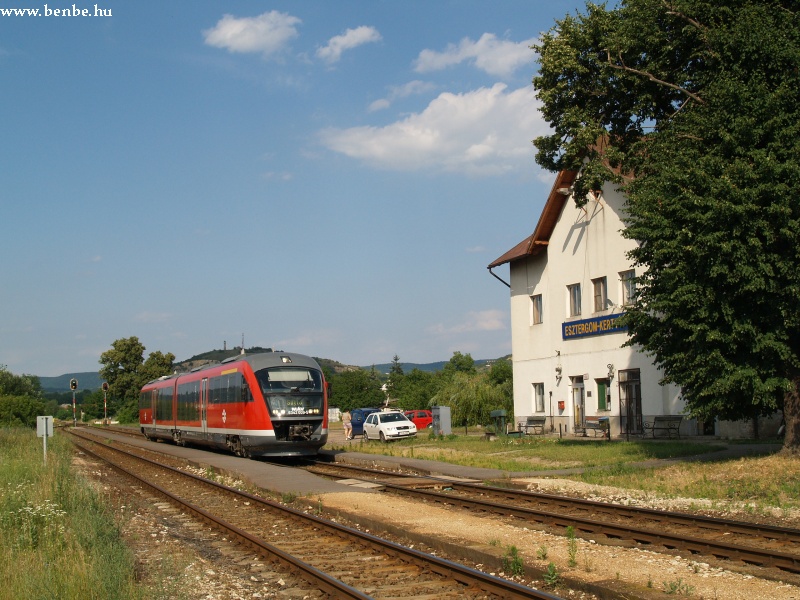 6342 009-5 Esztergom-Kertvrosban vadvirgokkal fot