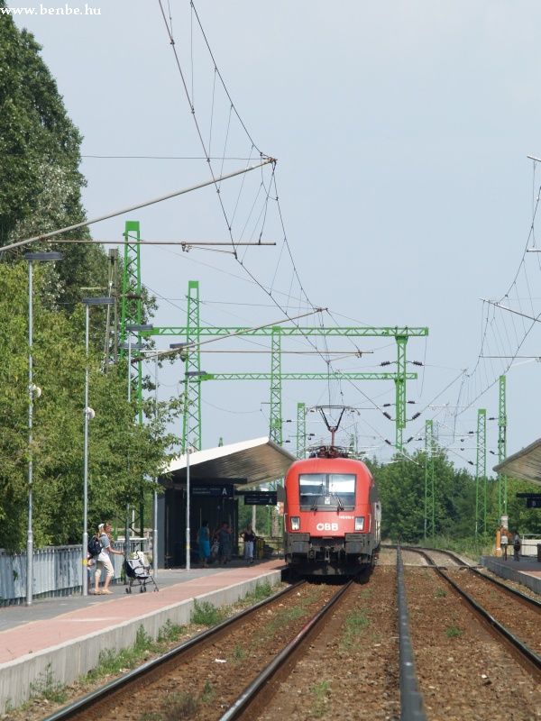 1116 015-7 Érd felső megállóhelyen fotó