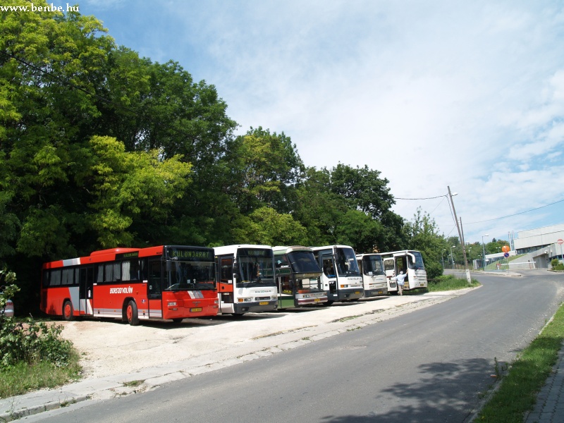 Buszok a gyerektábornál a Laborc utcában fotó