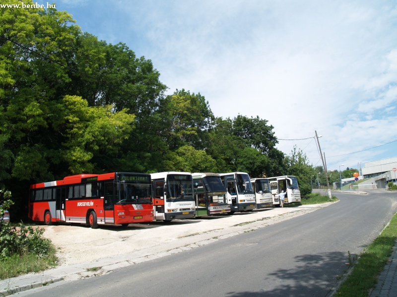 Buszok a gyerektbornl a Laborc utcban fot