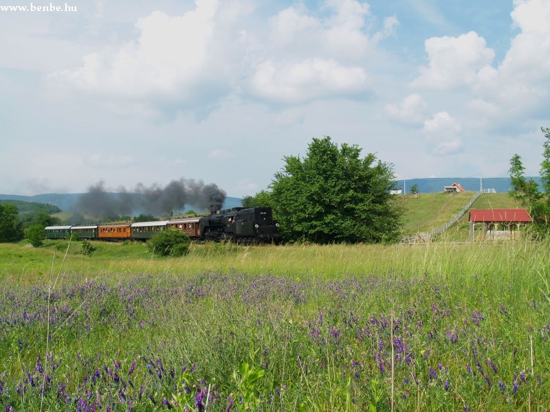 The historic steam locomotive 424,247 near Piliscsv photo