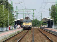 kép