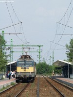 kép