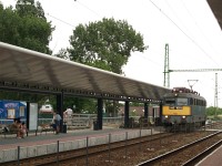 kép