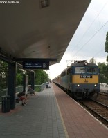 kép