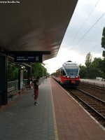 kép