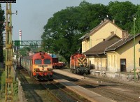 kép