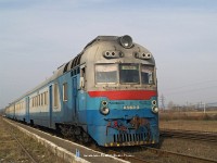kép