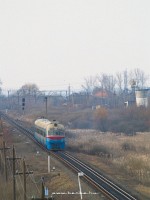 kép