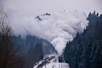 A ČSD 555 129 Branná és Ostružná között a behavazott fenyőerdőben