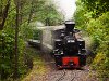 A Mátravasút 490 2005 Cserkő és Őrlőmű között