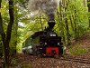 A Mátravasút 490 2005 Őrlőmű és Lajosháza között