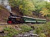 A Mátravasút 490 2005 Lajosháza és Karoshíd között