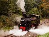 A Mátravasút 490 2005 Szalajkaház állomáson
