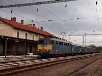 kép