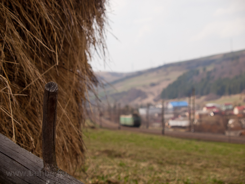 Typical Transcarpathian hay stack near Wolowets photo