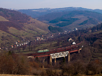 Egy ismeretlen UZ VL11 tehervonattal Szkotrszka llomson a Szkrinicza-viadukton