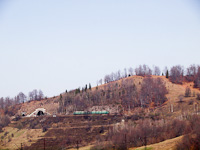 kép