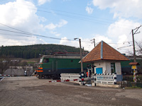 kép