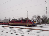 kép