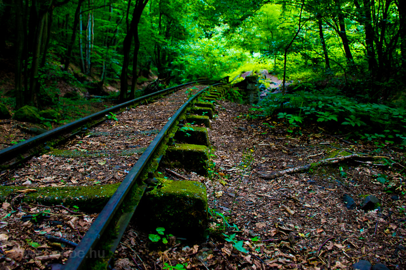 The Kemencei Erdei Mzeumvast between Feketevlgy and Drin photo