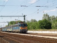 kép