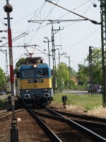 kép
