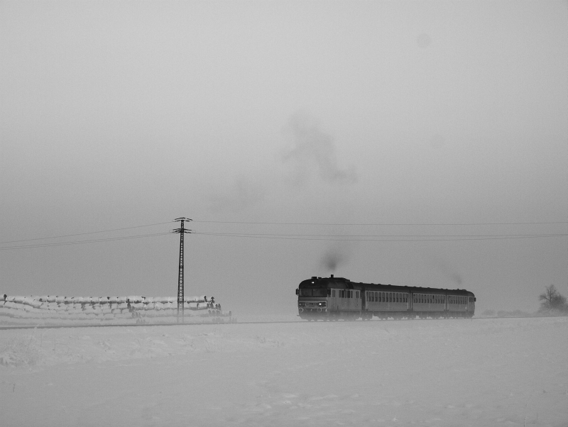 The MDmot 3003-Btx 016 trainset between Hortobgyi halast and Hortobgy photo