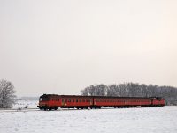 kép