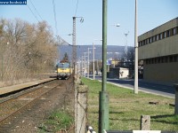kép