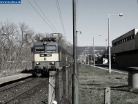 kép