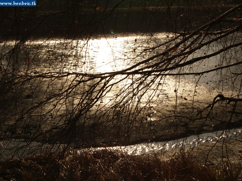 On the bank of the lake of Oroszlny photo